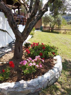 Ases Villa Lagonisi Halkidiki Ormos Panagias Zewnętrze zdjęcie